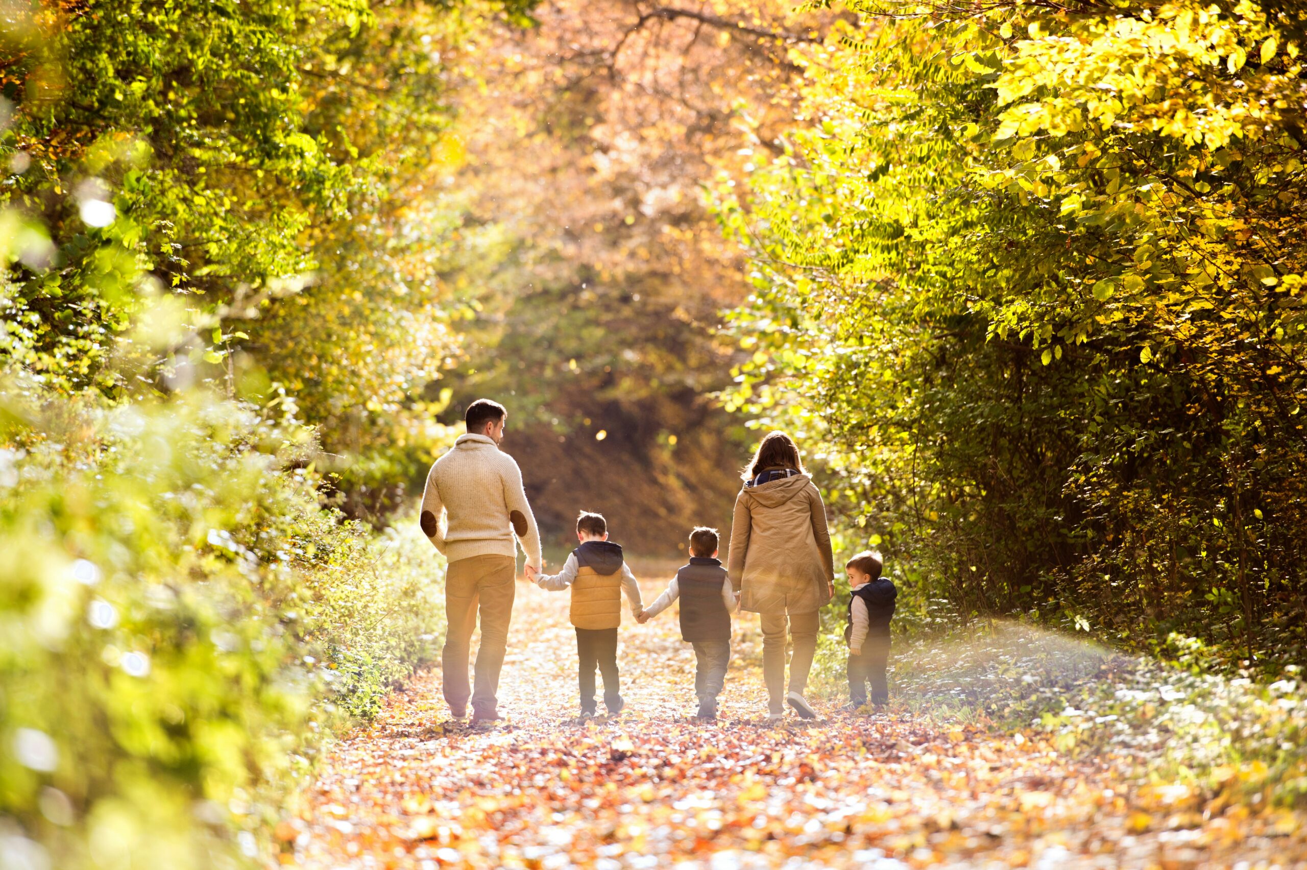 A family with three young children walks along a leaf-covered path with forest on both sides, representing a new relationship after divorce.